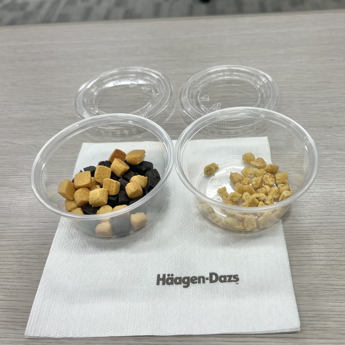 ハーゲンダッツのROCKY CRUNCHY!⑤