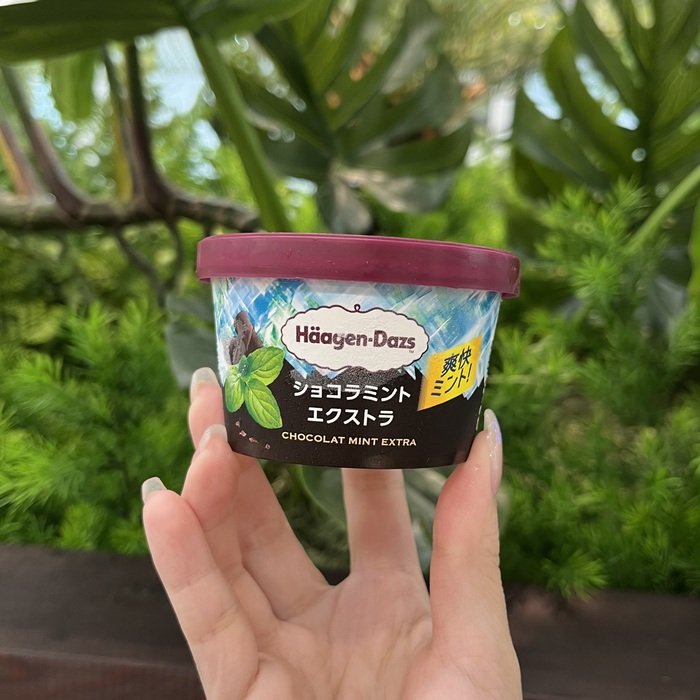 ハーゲンダッツのショコラミント エクストラ②