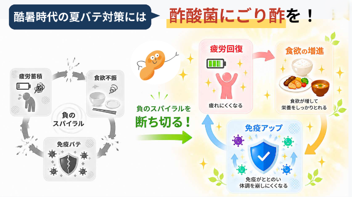 酢酸菌セミナーのセミナー③