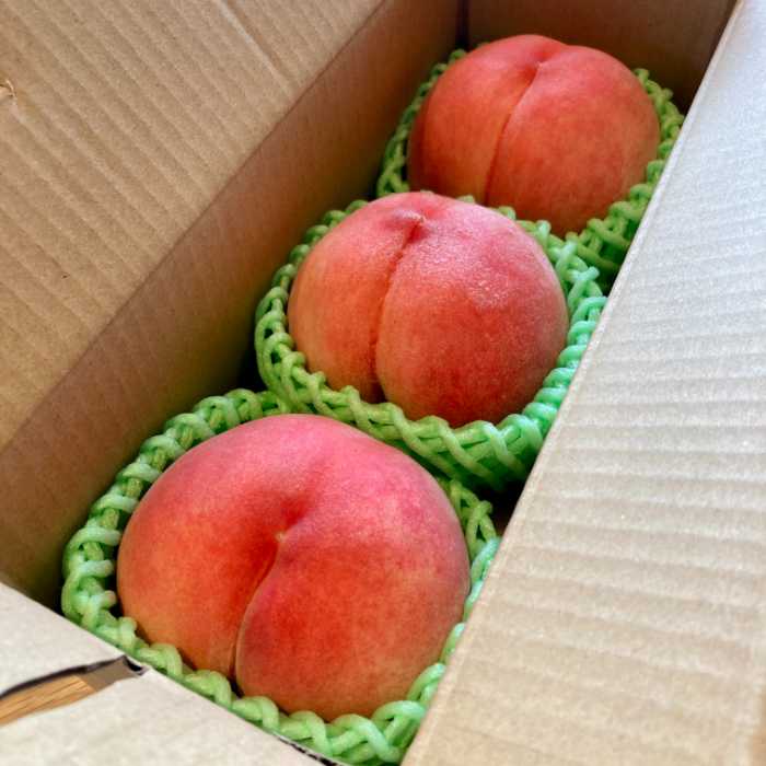 カネミ農園の桃