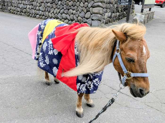 星野リゾート青森屋の客室2