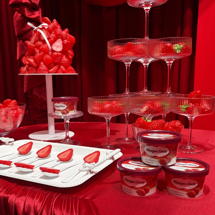 ハーゲンダッツのMeet Your Häagen-Dazs⑥