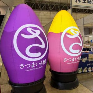 さつまいも博に展示してあるさつまいも