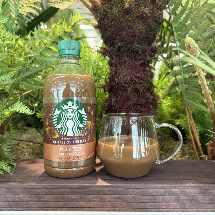 スターバックスの COFFEE OF THE DAY カフェモカ⑤