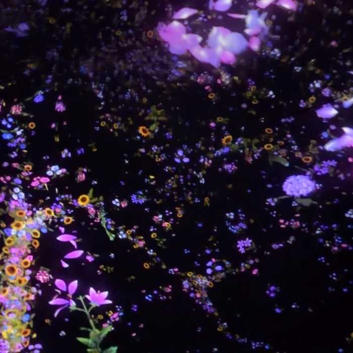 チームラボプラネッツのFloating in the Falling Universe of Flower