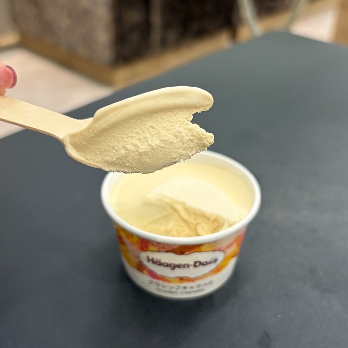 ハーゲンダッツアソートボックスのキャラメルパーティー⑦