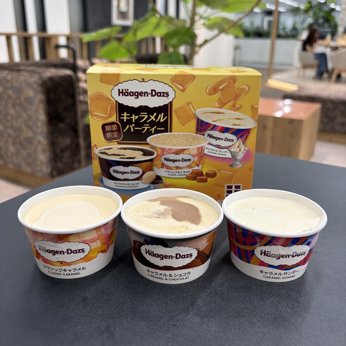 ハーゲンダッツアソートボックスのキャラメルパーティー⑰