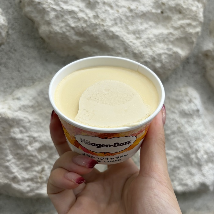 ハーゲンダッツアソートボックスのキャラメルパーティー⑤