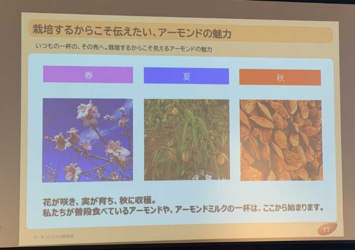 アーモンドミルクセミナーの様子④