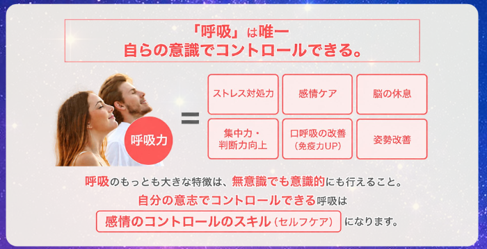 酢酸菌ライフイベントのスライド⑧
